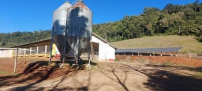 Foto 5 de 13: Area Rural em leilão em Chapecó - SC — IMÓVEL RURAL COM ÁREA DE 27.702,25m2, EM CHAPECÓ/SC
