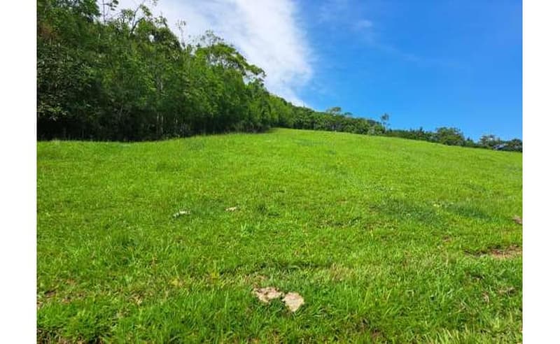 Foto 6 de 27: Terreno em leilão em Blumenau - SC — Imóvel urbano com área total de 35.820,27 m² em Blumenau/SC