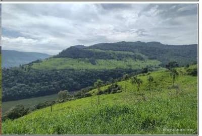 Foto 4 de 8: Area Rural em leilão em Coronel Domingos Soares - PR — Terreno Rural com área de 16,108 hectares, as margens do Rio Iguaçu, Gleba III, do Quinhão IV e Quinhões 6 e 6-A, da Fazenda Cacumbangue, município de Coronel Domingo Soares/PR.