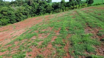Foto 6 de 9: Area Rural em leilão em Nova Prata Do Iguaçu - PR — IMÓVEL RURAL COM ÁREA TOTAL DE 20.000,00 m² - NOVA PRATA DO IGUAÇU/PR