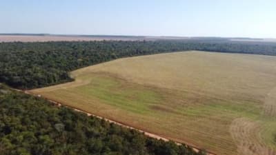 Area Rural em leilão em Vilhena - RO — IMÓVEL RURAL | A.T. 74,0462 HA | VILHENA/RO - LEILÃO EMPRESARIAL SISTÊMICO SICREDI