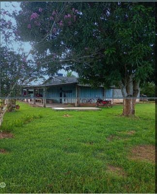 Foto 8 de 9: Area Rural em leilão em Nova Bandeirantes - MT — IMÓVEL RURAL Sítio L & B | A.T. 36,30 HA | NOVA BANDEIRANTES /MT