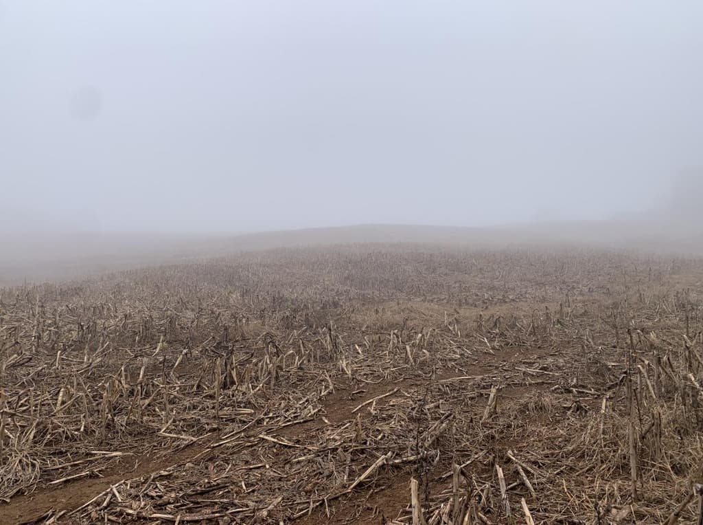 Foto 9 de 12: Area Rural em leilão em Viadutos - RS — IMÓVEL RURAL COM ÁREA TOTAL DE 13,18750 HA EM VIADUTOS-RS