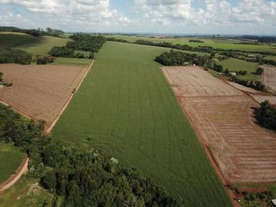 Foto 3 de 3: Area Rural em leilão em Quedas Do Iguaçu - PR — Fração ideal de 45% do LOTE Nº 175-A, com a área de 8,9379HA, Quedas do Iguaçu/PR