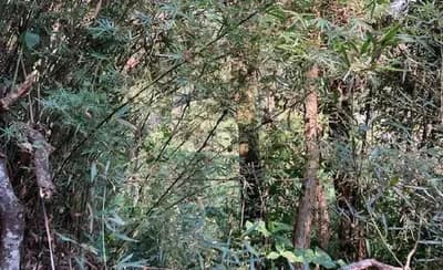 Terreno em leilão em Embu Das Artes - SP — Terreno de 1095.0m2, em EMBU DAS ARTES/SP.