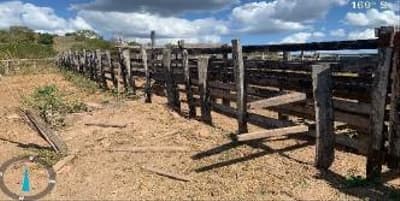 Foto 2 de 8: Area Rural em leilão em Tuntum - MA — IMÓVEIS RURAIS PECUÁRIA | A.T. 66,69 HA | TUNTUM/MA