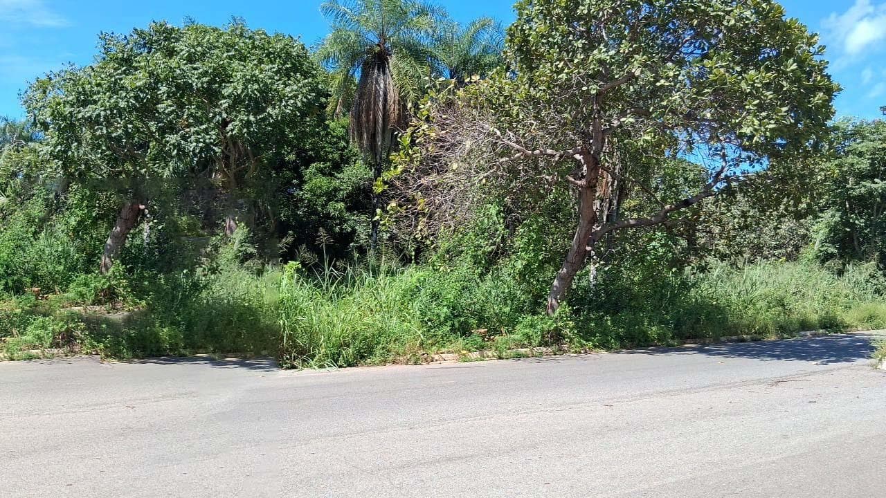 Foto 3 de 7: Terreno em leilão em Minaçu - GO, bairro Vila Residencial de Minaçu — Terreno Urbano 432m² | Vila Residencial de Minaçu - Minaçu/GO | Localização Nobre e Infraestrutura Completa: Ideal para Construção e Investimento!