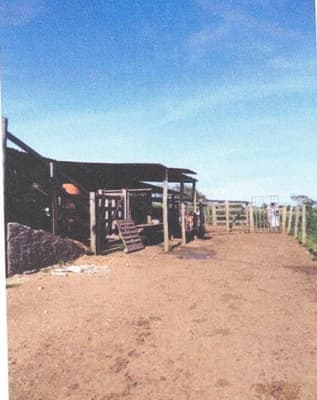 Foto 5 de 8: Area Rural em leilão em Bela Vista De Goiás - GO — IMÓVEL RURAL COM ÁREA DE 04.84.00 hectares (QUINHÃO 01)- Em BELA VISTA DE GOIÁS/GO