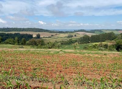 Foto 2 de 10: Area Rural em leilão em Nova Prata Do Iguaçu - PR — IMÓVEL RURAL COM ÁREA TOTAL DE 20.000,00 M2 EM NOVA PRATA DO IGUAÇU-PR
