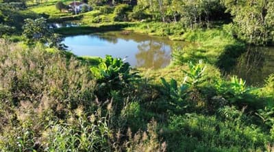 Foto 1 de 11: Area Rural em leilão em Nova Prata Do Iguaçu - PR — LOTE RURAL - SALTO DO LONTRA/PR