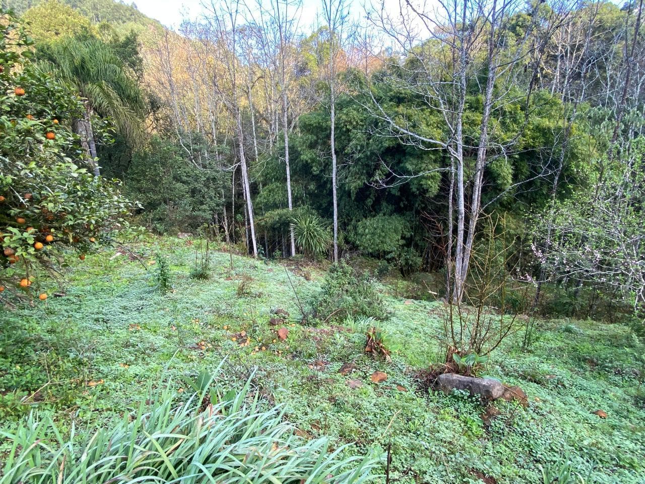 Foto 14 de 23: Terreno em leilão em Concórdia - SC — IMÓVEL RURAL COM ÁREA TOTAL DE 11.005,95m2, EM CONCÓRDIA-SC