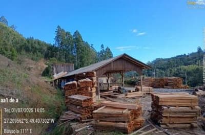 Foto 11 de 16: Terreno em leilão em Apiúna - SC, bairro São Jorge — IMÓVEL RURAL COM ÁREA TOTAL DE 21,291 ha- Em APIÚNA/SC