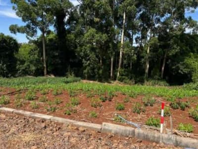 Foto 3 de 5: Imóvel em leilão em Constantina - RS, bairro Loteamento Belo Horizonte — IMÓVEL URBANO COM ÁREA TOTAL DE 921,88m2 EM CONSTANTINA-RS