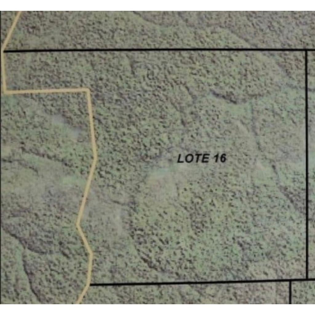 Foto 2 de 2: Area Rural em leilão em Colniza - MT — Imóvel Rural com 3.027,7862 ha localizado no município de Colniza / MT - (LOTE 16)