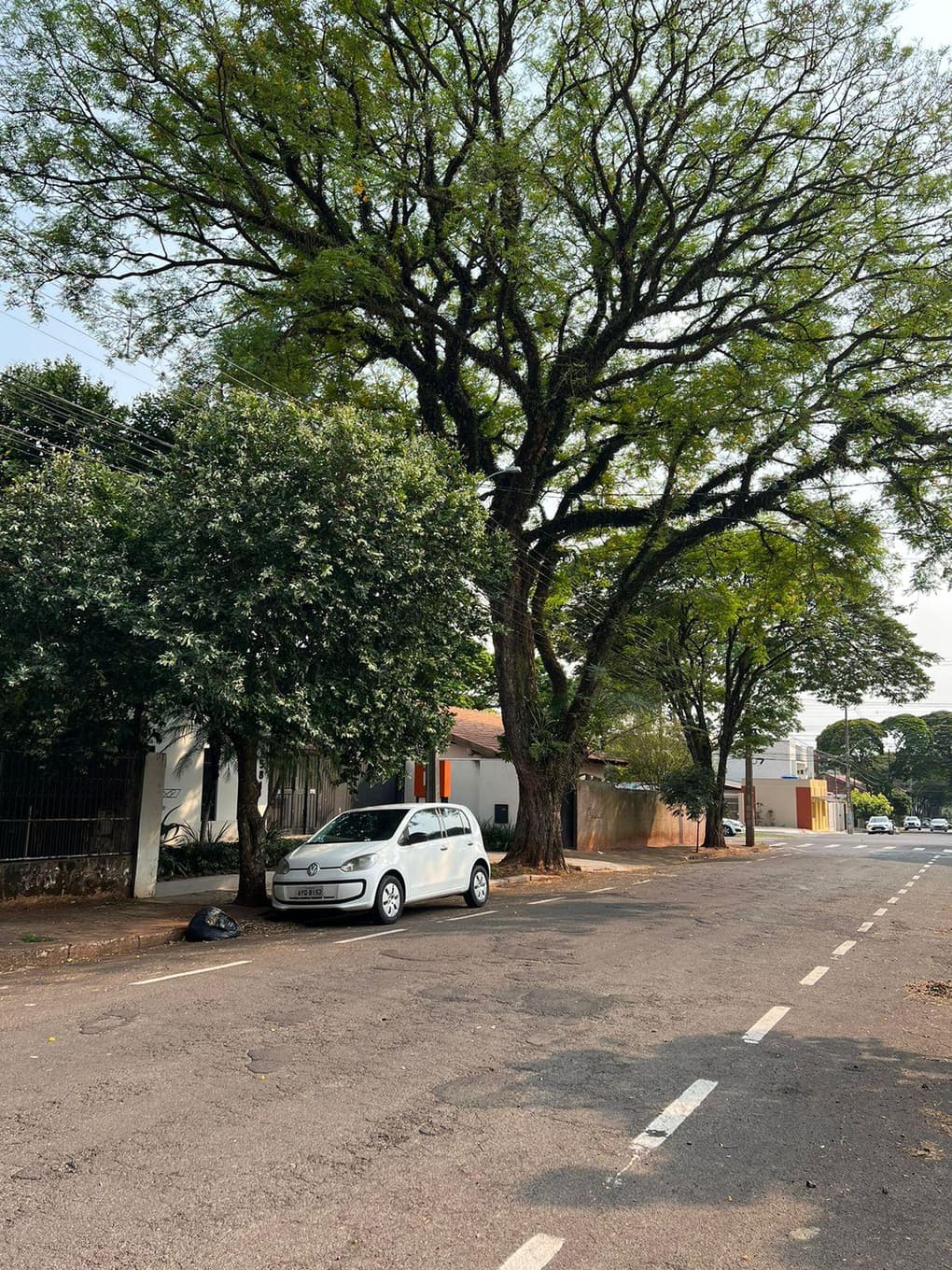Foto 13 de 13: Terreno em leilão em Cianorte - PR, bairro Zona 02 — Terras com uma área total de 612,50m², contendo benfeitoria, Cianorte/PR