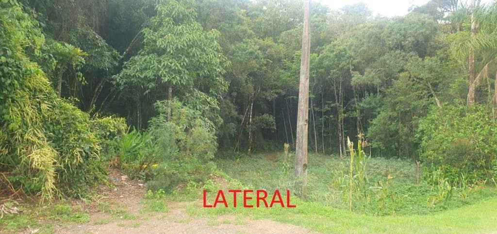 Foto 3 de 5: Terreno em leilão em Canoinhas - SC — Terreno urbano com área de 3.772,79 m² no município de Canoinhas/SC
