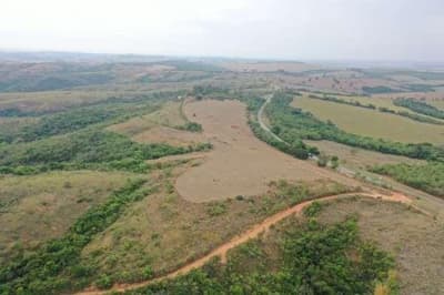 Foto 6 de 8: Area Rural em leilão em Formiga - MG — FAZENDA "GUAXUPE" EM FORMIGA/MG.
