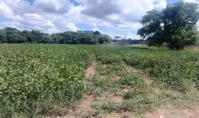Foto 2 de 15: Area Rural em leilão em Pitanga - PR — VENDA CONJUNTA DE DUAS MATRÍCULAS- Em PITANGA/PR