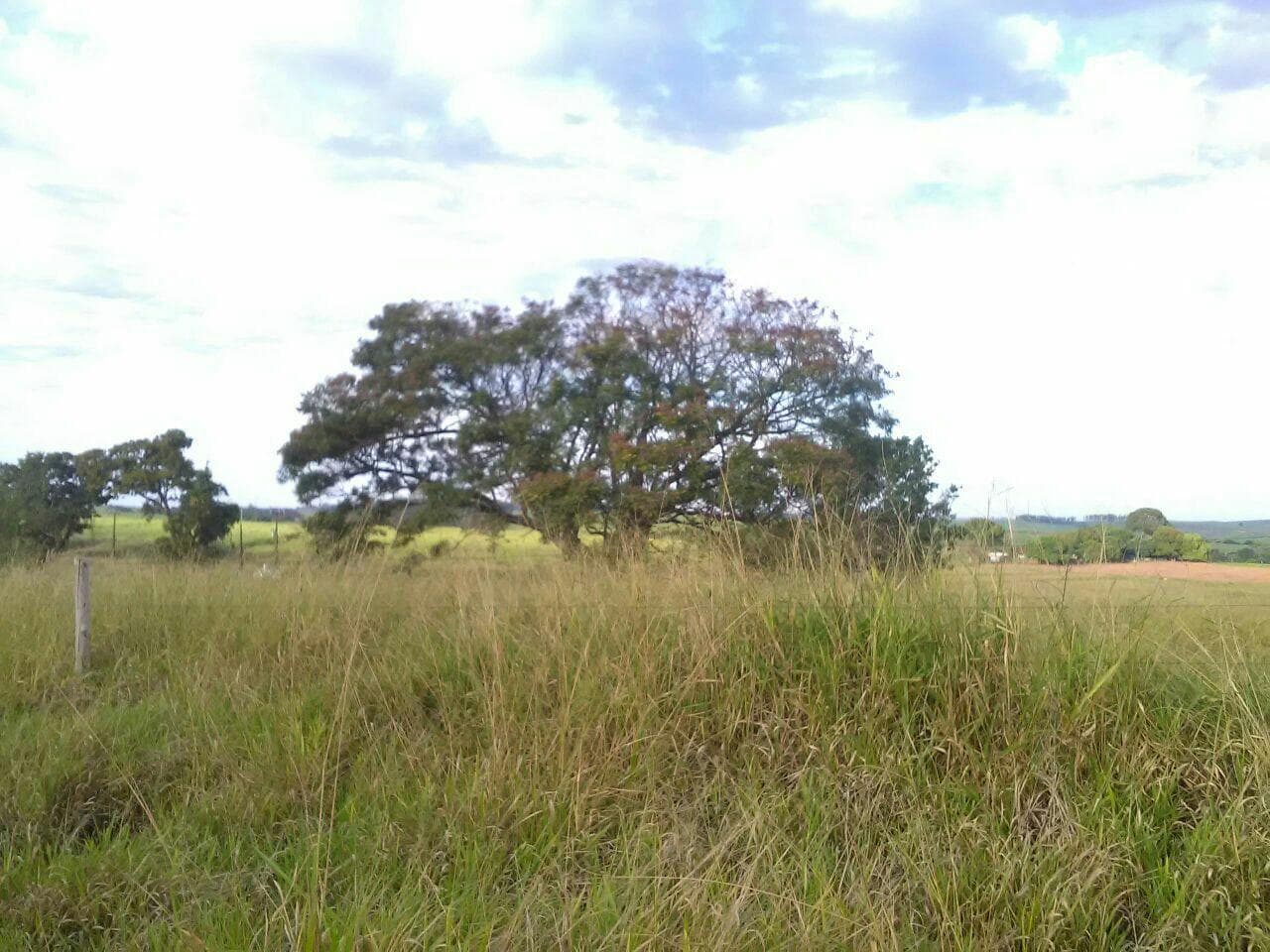 Foto 1 de 2: Terreno em leilão em Umuarama - PR — Lote de Terras situado no distrito de Serra dos Dourados - Umuarama/PR, com área de 432,00 m²