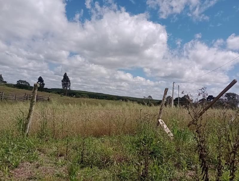 Foto 9 de 11: Area Rural em leilão em Timbó Grande - SC, bairro Interior — IMÓVEL RURAL COM ÁREA TOTAL DE 8,8804 hectares EM TIMBÓ GRANDE-SC