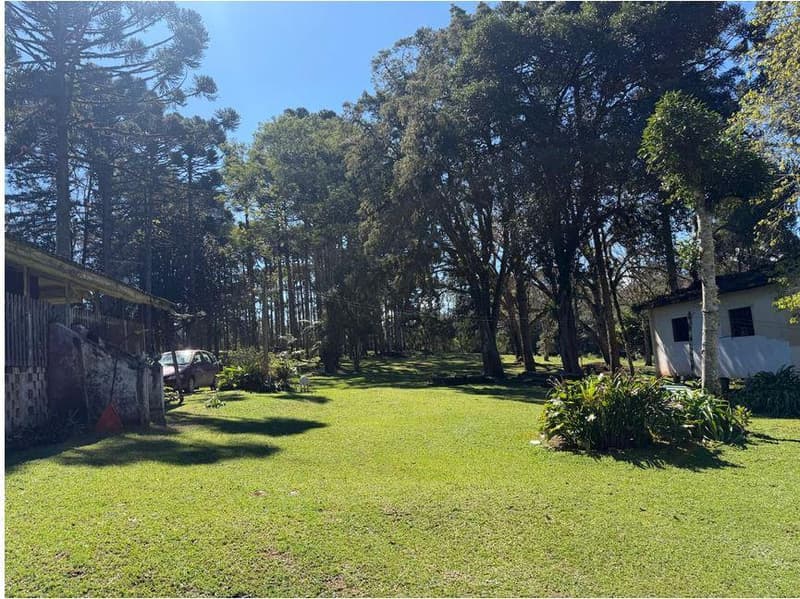 Foto 14 de 35: Area Rural em leilão em São José Dos Pinhais - PR — Sitio com área total de 120.974,16m², localizado Borda do Campo em São José dos Pinhais/PR