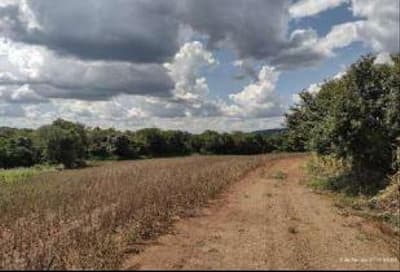 Foto 6 de 8: Area Rural em leilão em Enéas Marques - PR — Imóvel Rural com área de 52,4HA com benfeitorias não reprodutivas. Localizado no Município de Enéas Marques/PR.
