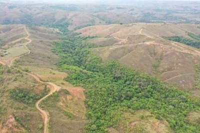 Foto 5 de 5: Area Rural em leilão em Bambuí - MG — FAZENDA "PONTE ALTA" EM BAMBUÍ/MG.