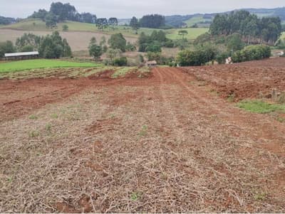 Foto 6 de 7: Terreno em leilão em Frei Rogério - SC — IMÓVEL RURAL COM ÁREA TOTAL DE 5,3285450 HA - FREI ROGERIO/SC