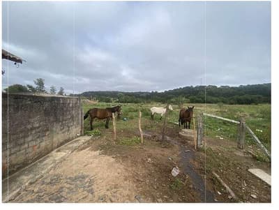 Foto 6 de 8: Terreno em leilão em Piraí Do Sul - PR, bairro Baixada — Terreno urbano com área de 9.377,50m², sem benfeitorias , localizado na Rua Jordão Spiller, 110, Bairro Baixada, Piraí do Sul/PR.