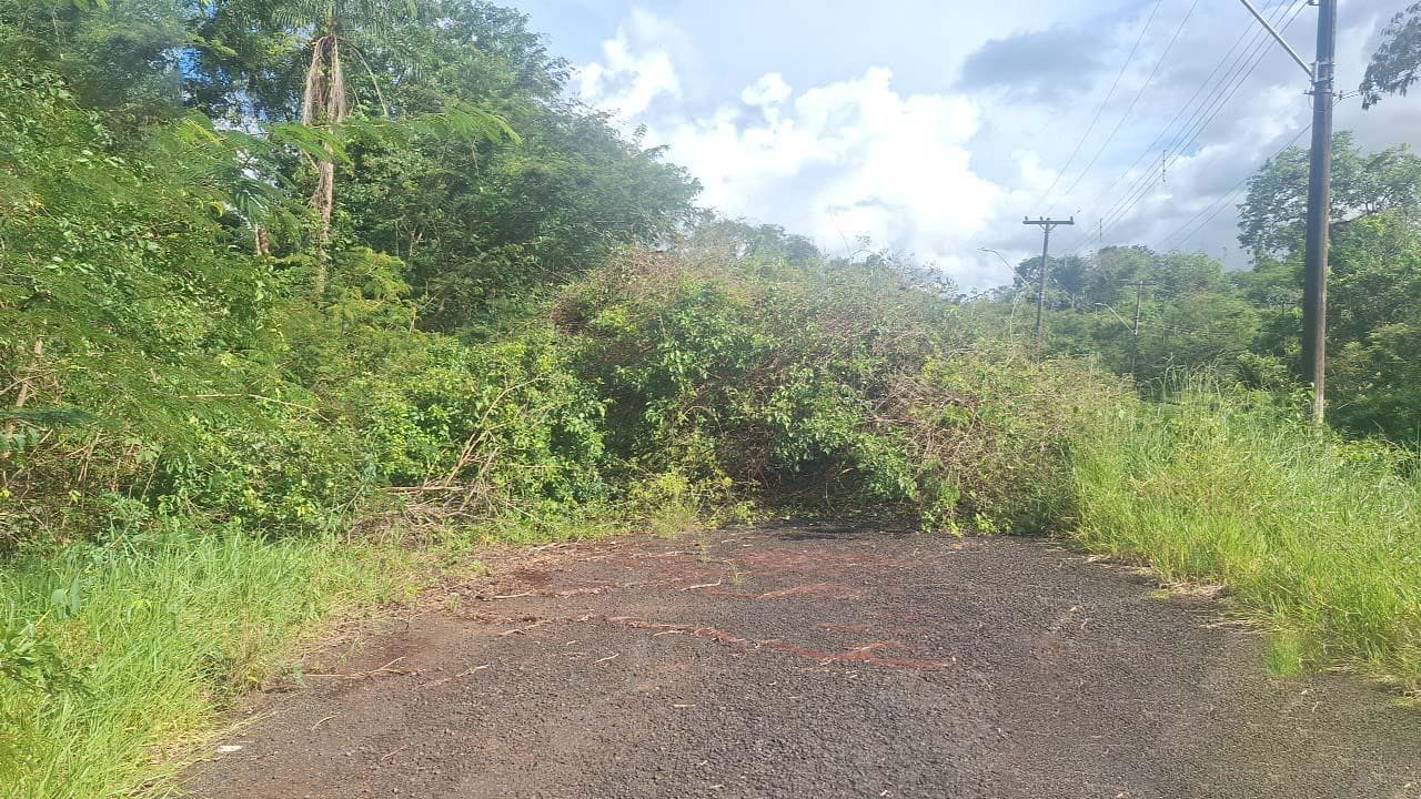 Foto 2 de 16: Terreno em leilão em Icém - SP — Imóvel 833m² | Icém/SP | Terreno 2,5 Hectares |