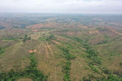 Foto 2 de 5: Area Rural em leilão em Bambuí - MG — FAZENDA "PONTE ALTA E CAN CAN MEIO" EM BAMBUÍ/MG.