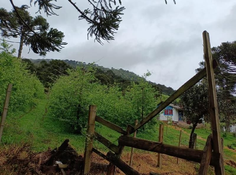 Foto 2 de 16: Area Rural em leilão em São Joaquim - SC — IMÓVEL RURAL COM ÁREA SUPERFICIAL DE 67.085,02 m² EM SÃO JOAQUIM-SC