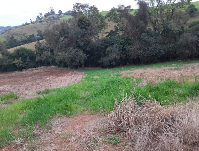 Foto 7 de 8: Terreno em leilão em Trindade Do Sul - RS, bairro Centro — IMÓVEL URBANO COM ÁREA TOTAL DE 3.735,66M2 EM TRINDADE DO SUL-RS