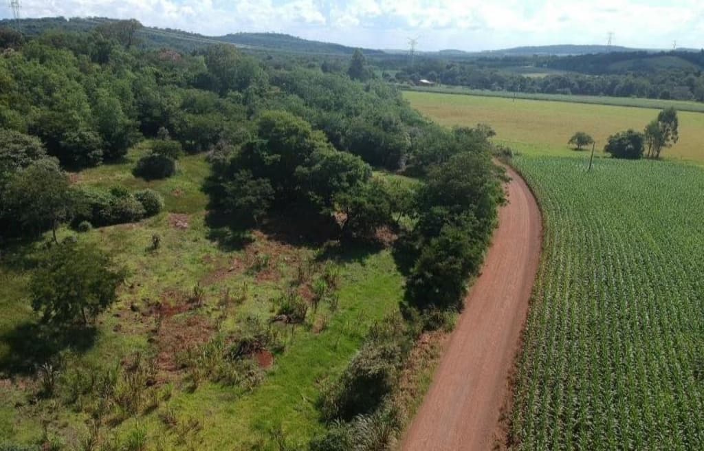 Foto 7 de 8: Area Rural em leilão em Mercedes - PR — IMÓVEL RURAL COM ÁREA DE 70.050 m2- Em MERCEDES/PR