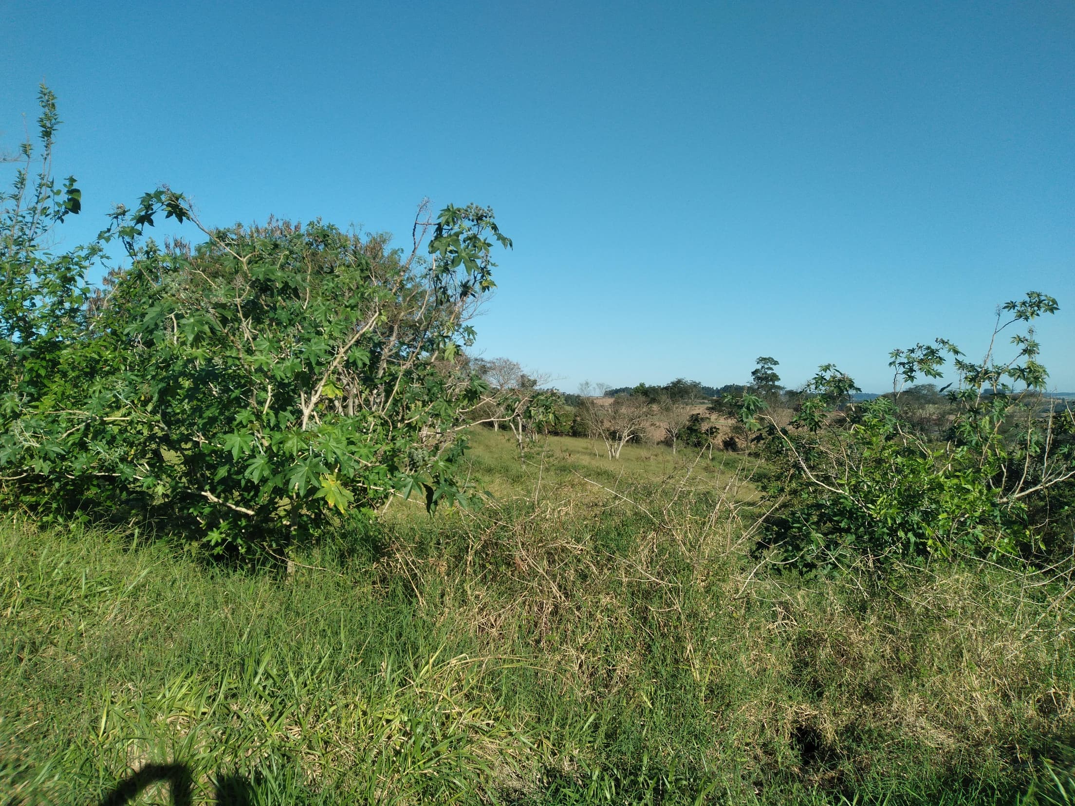Foto 20 de 41: Area Rural em leilão em Capitão Leônidas Marques - PR — Gleba Urbana Desocupada 27.837m2 no Bairro São Gabriel em Capitão Leonidas Marques/PR