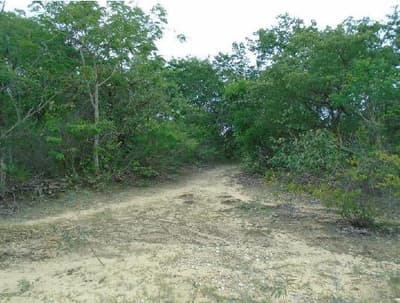 Foto 2 de 4: Terreno em leilão em Cristália - MG — Terreno Rural 60,7798ha em Cristália/MG - Desocupado