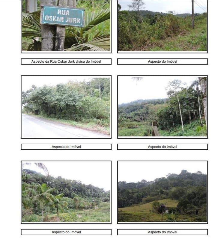 Foto 2 de 5: Area Rural em leilão em Blumenau - SC — Área rural medindo 250.560m², sem benfeitorias, Rod. Guilherme Jensem, Itoupava, Blumenau/SC - Rec Judic Porcelana Schmidt
