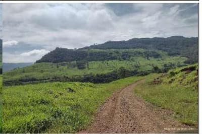 Foto 6 de 8: Area Rural em leilão em Coronel Domingos Soares - PR — Terreno Rural com área de 38,66 hectares, as margens do Rio Iguaçu, Gleba III, do Quinhão IV e Quinhões 6 e 6-A, da Fazenda Cacumbangue, município de Coronel Domingo Soares/PR
