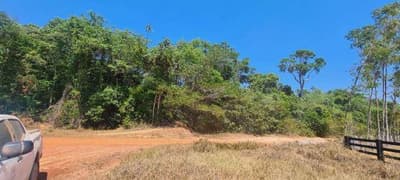 Foto 3 de 4: Area Rural em leilão em Juara - MT — Fazenda 2.481,6665ha | Zona Rural de Juara-MT