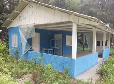 Foto 5 de 26: Area Rural em leilão em São João Do Triunfo - PR — IMÓVEL RURAL COM EXTENSÃO URBANA - ÁREA TOTAL DE 60.726,43 m²-AVENIDA DAS ARAUCÁRIAS-LADEIRA- SÃO JOÃO DO TRIUNFO-PR