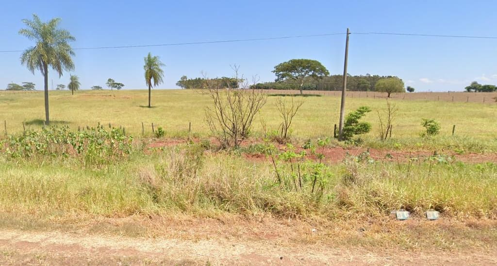 Foto 1 de 4: Area Rural em leilão em Rosana - SP — Área rural com 120,516 hectares