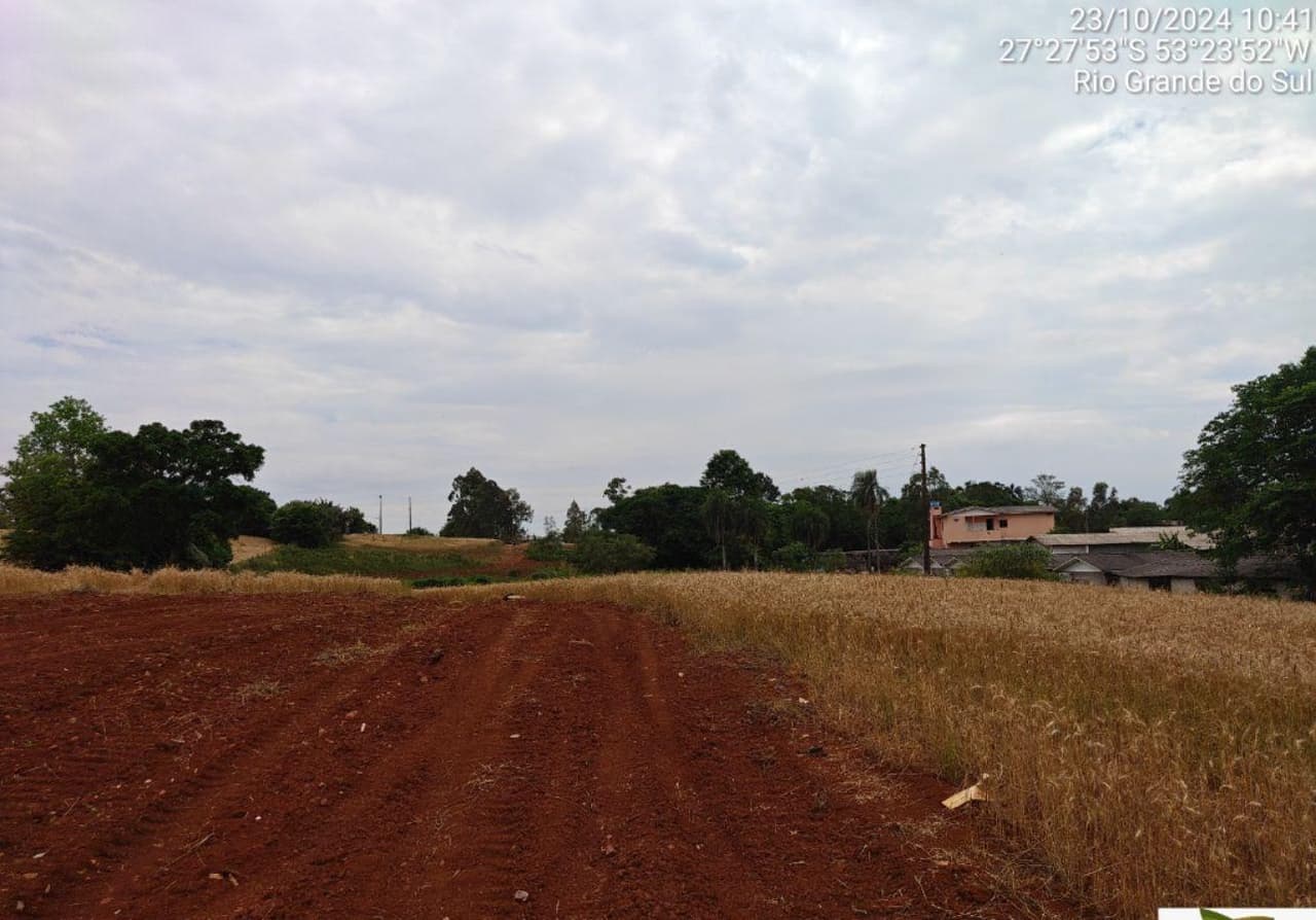 Foto 6 de 9: Area Rural em leilão em Seberi - RS — IMÓVEL RURAL COM ÁREA TOTAL DE 50.000,00M² - SEBERI/RS