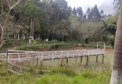 Foto 10 de 26: Area Rural em leilão em São João Do Triunfo - PR — IMÓVEL RURAL COM EXTENSÃO URBANA - ÁREA TOTAL DE 60.726,43 m²-AVENIDA DAS ARAUCÁRIAS-LADEIRA- SÃO JOÃO DO TRIUNFO-PR