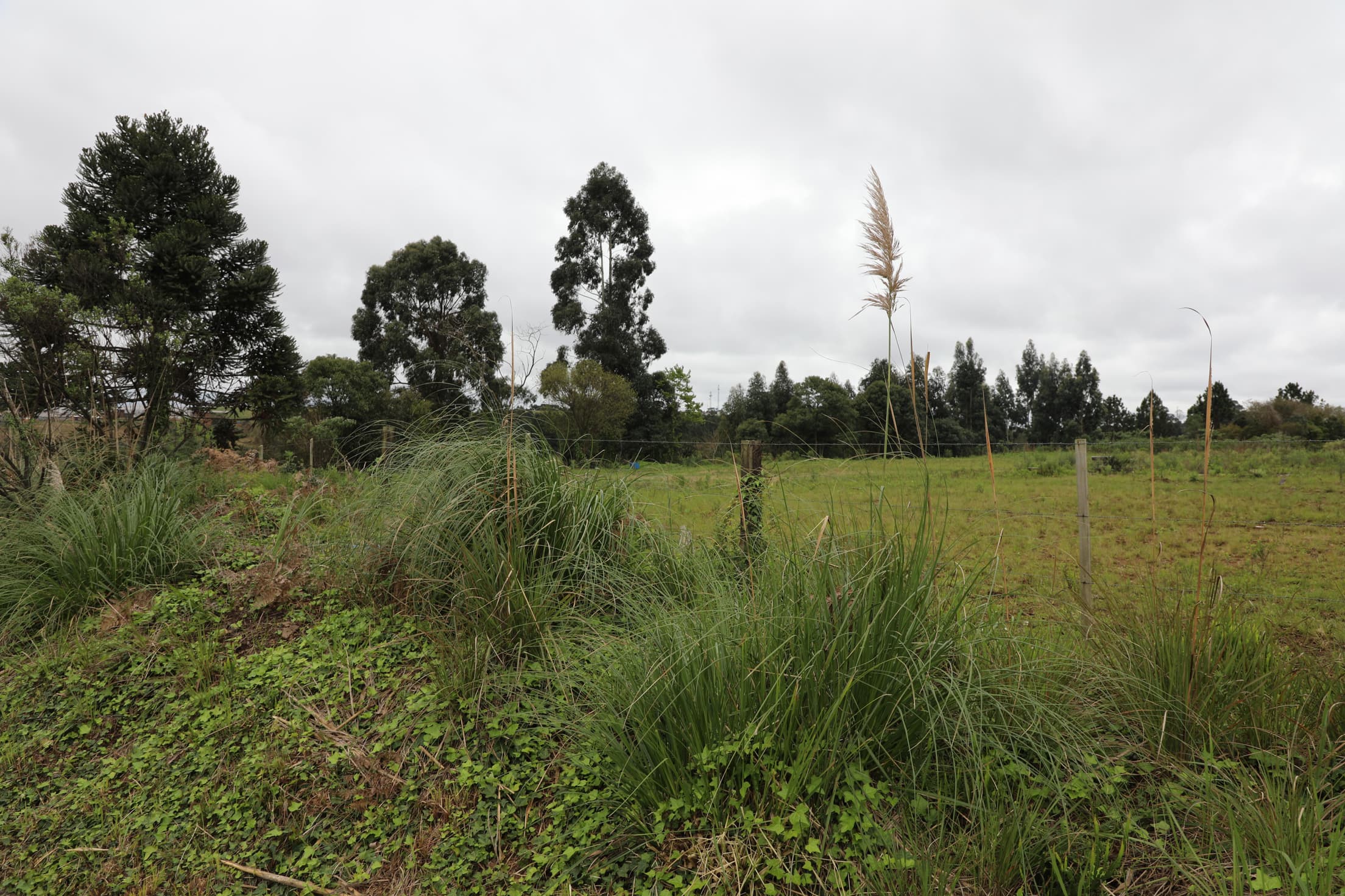 Foto 7 de 17: Terreno em leilão em Curitibanos - SC — IMÓVEL LOCALIZADO NA RUA ROMUALDO SCUR, ÁREA INDUSTRIAL RENATO FARIAS, MUNICÍPIO DE CURITIBANOS-SC COM A ÁREA DE 10.043,92M²