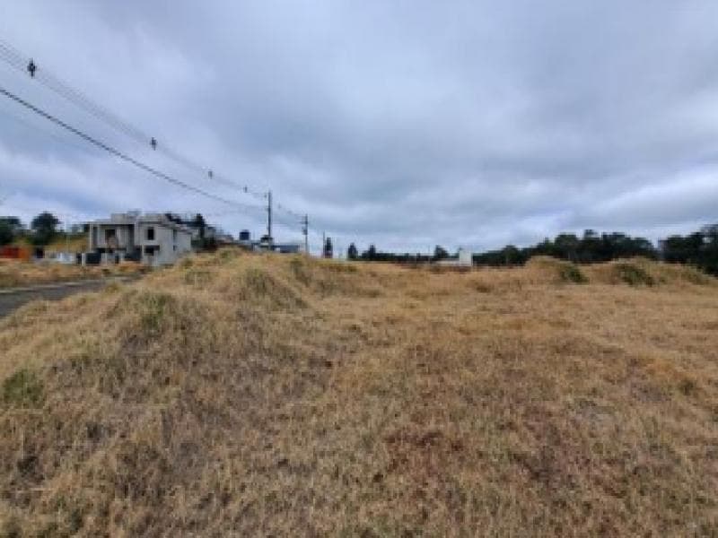 Foto 1 de 4: Terreno em leilão em Chapecó - SC, bairro Industrial — Lote, 377.4 m2, Chapecó / SC