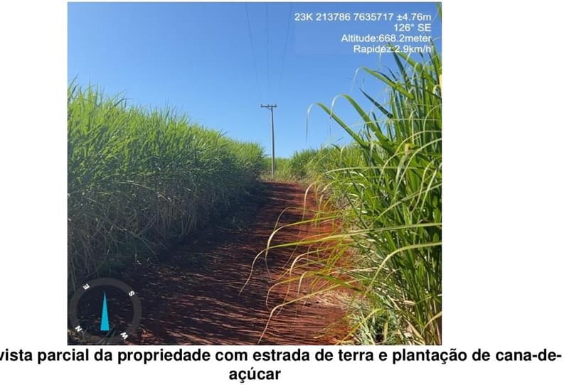 Foto 7 de 8: Area Rural em leilão em Cravinhos - SP — IMOVEL RURAL - SITIO SANTO ANTONIO - localizado a 2,2km da cidade de Cravinhos/ SP