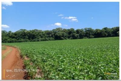 Terreno em leilão em Redentora - RS — TERRENO RURAL com área total de 9,480 ha - Redentora - RS