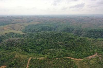 Foto 4 de 5: Area Rural em leilão em Bambuí - MG — FAZENDA "RANGEL" EM BAMBUÍ/MG.