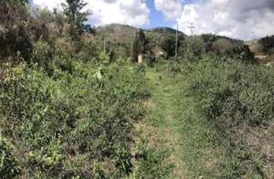 Foto 7 de 14: Area Rural em leilão em Caconde - SP — Sítio, A.T. 9,9500ha