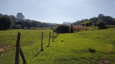 Foto 5 de 7: Area Rural em leilão em Itapetininga - SP, bairro Bairro dos Veados — (10, 235%) Imóvel Rural, A.T. 53ha, Sítio Santa Maria, Bairro dos Veados